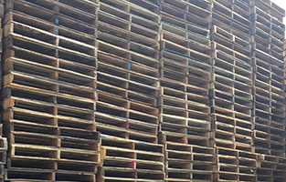 Recondition Pallets